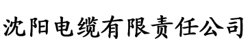 无码AV蜜臀AⅤ色欲在线电缆厂logo